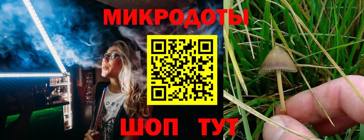Галлюциногенные грибы Psilocybe  Вход с VPN  Назрань 